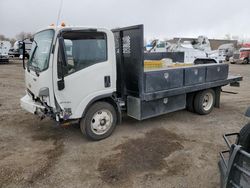 Vehiculos salvage en venta de Copart Billings, MT: 2024 Chevrolet 4500