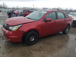 Ford Focus salvage cars for sale: 2011 Ford Focus SES