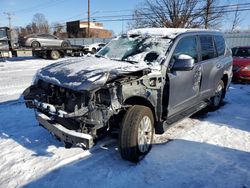 Lexus GX 460 salvage cars for sale: 2016 Lexus GX 460