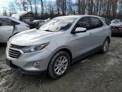 Salvage cars for sale from Copart Waldorf, MD: 2019 Chevrolet Equinox LT