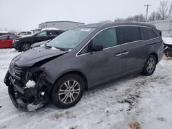 Honda salvage cars for sale: 2013 Honda Odyssey EXL