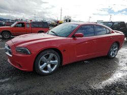 Dodge salvage cars for sale: 2013 Dodge Charger SXT