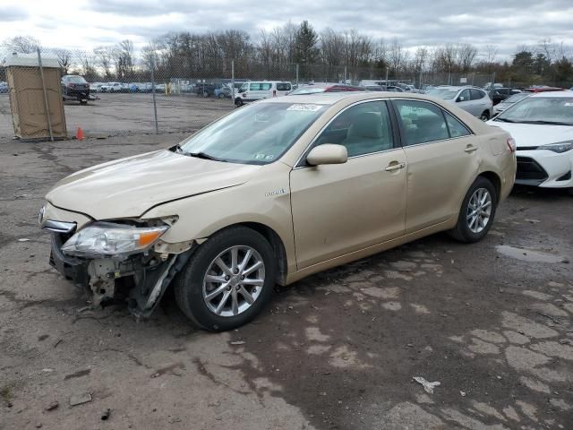 2010 Toyota Camry Hybrid