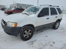Salvage cars for sale from Copart Bismarck, ND: 2004 Ford Escape XLT