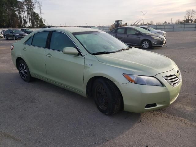 2009 Toyota Camry Hybrid