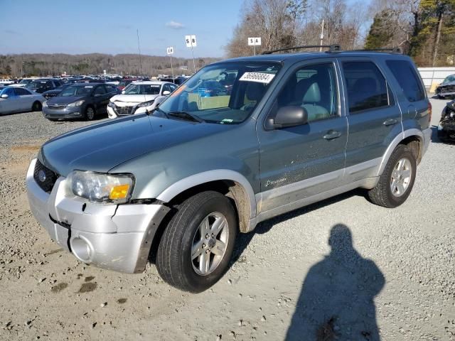 2006 Ford Escape HEV