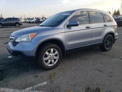 Salvage cars for sale from Copart Rancho Cucamonga, CA: 2009 Honda CR-V EXL