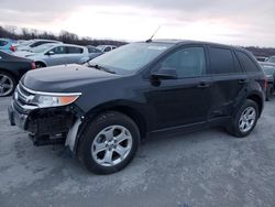 Ford salvage cars for sale: 2014 Ford Edge SEL