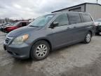 2010 Honda Odyssey EXL