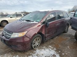 Salvage cars for sale from Copart Hillsborough, NJ: 2013 Honda Odyssey EXL