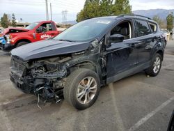 Vehiculos salvage en venta de Copart Rancho Cucamonga, CA: 2019 Ford Escape SEL