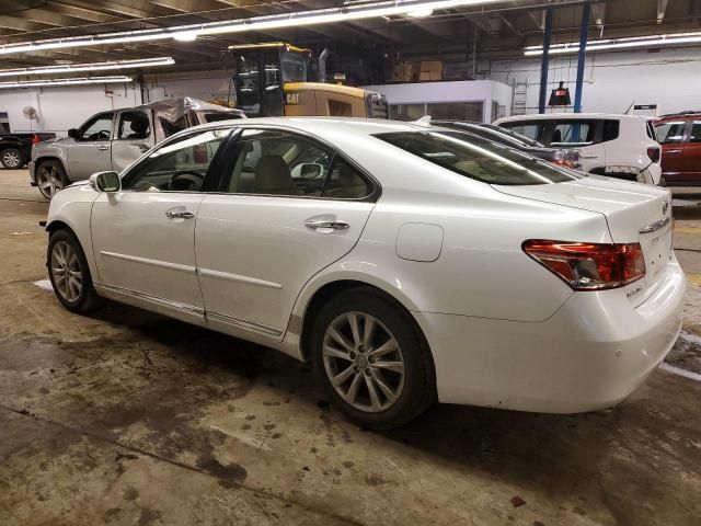 2010 Lexus ES 350