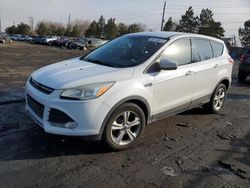 Salvage cars for sale at Denver, CO auction: 2014 Ford Escape SE