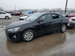 Salvage cars for sale at Louisville, KY auction: 2019 Hyundai Elantra SE