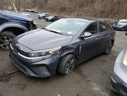 Salvage cars for sale at Marlboro, NY auction: 2023 KIA Forte LX