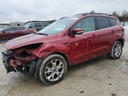 Vehiculos salvage en venta de Copart Memphis, TN: 2013 Ford Escape SEL