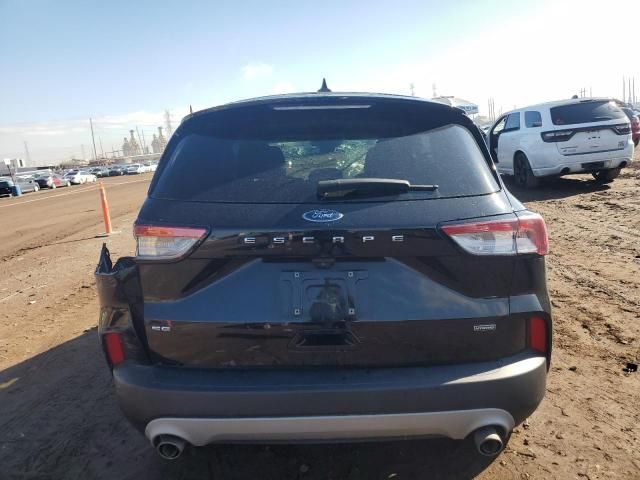 2020 Ford Escape SE Sport