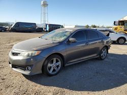 Salvage cars for sale from Copart Phoenix, AZ: 2014 Toyota Camry L