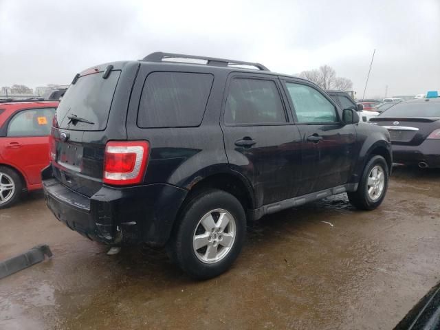 2010 Ford Escape XLT