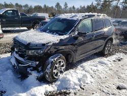 Salvage cars for sale at Windham, ME auction: 2022 Honda Passport Trail Sport