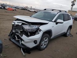 Vehiculos salvage en venta de Copart Brighton, CO: 2020 Toyota Rav4 XLE