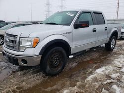 2013 Ford F150 Supercrew for sale in Elgin, IL