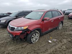 KIA Sorento salvage cars for sale: 2011 KIA Sorento EX