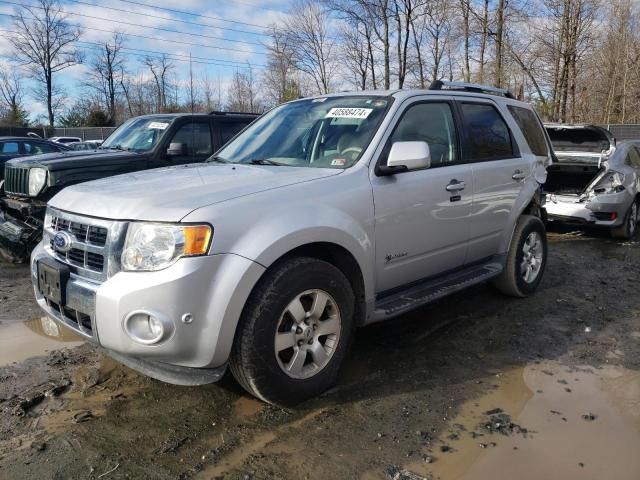 2010 Ford Escape Hybrid