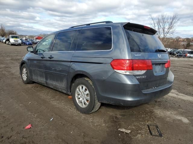 2010 Honda Odyssey EXL