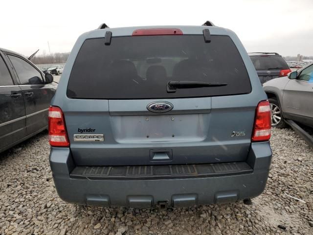 2010 Ford Escape XLT