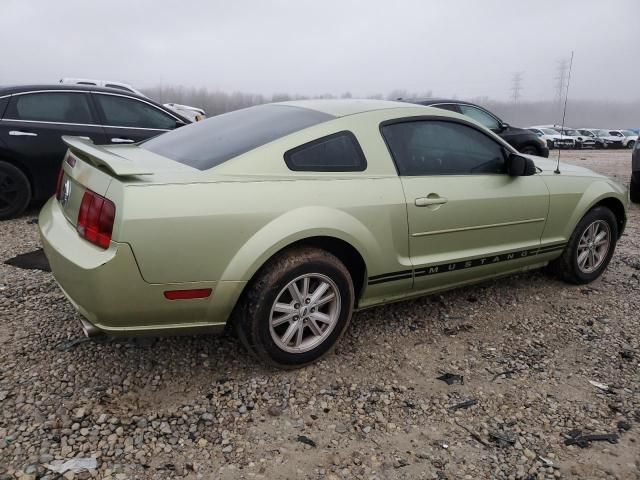 2005 Ford Mustang