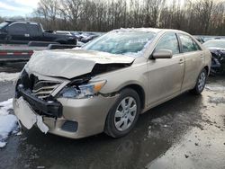 Salvage cars for sale at Glassboro, NJ auction: 2010 Toyota Camry Base