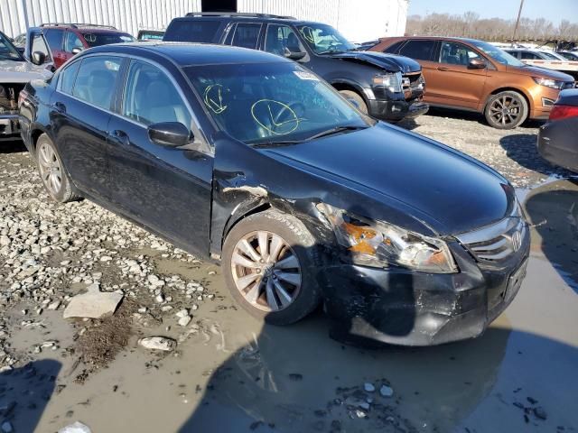 2012 Honda Accord EXL