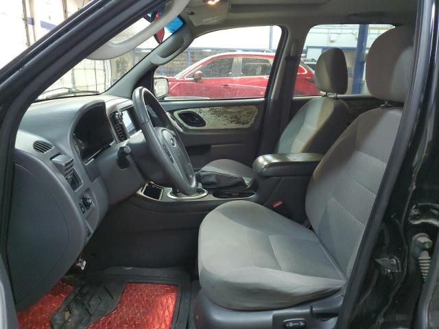 2005 Ford Escape XLT