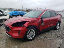 Ford Vehiculos salvage en venta: 2020 Ford Escape SE