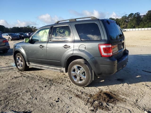 2009 Ford Escape XLT