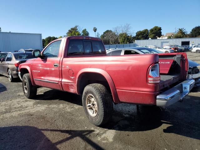 1999 Dodge Dakota