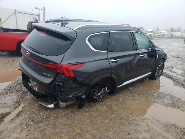 2021 Hyundai Santa FE Calligraphy