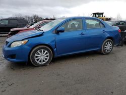 Toyota salvage cars for sale: 2010 Toyota Corolla Base