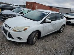 Ford Focus salvage cars for sale: 2014 Ford Focus SE