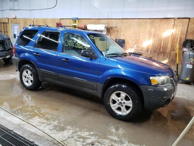 2007 Ford Escape XLT