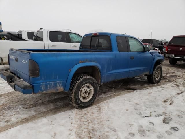 2000 Dodge Dakota