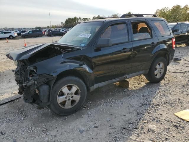 2010 Ford Escape XLS