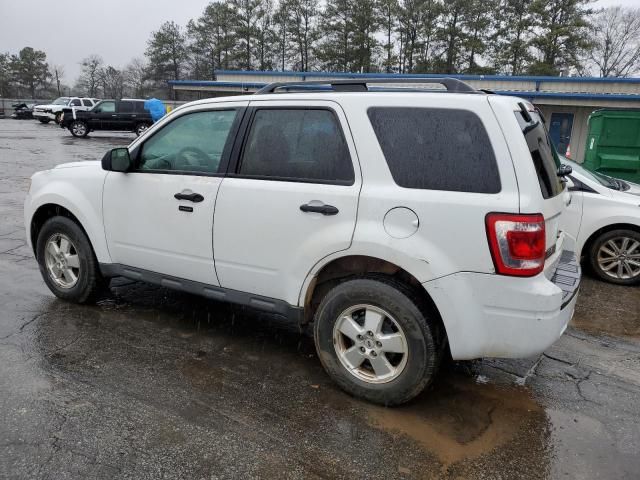 2011 Ford Escape XLT