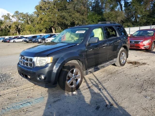 2009 Ford Escape XLT