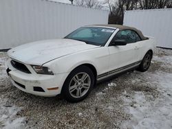 Salvage cars for sale at Baltimore, MD auction: 2012 Ford Mustang
