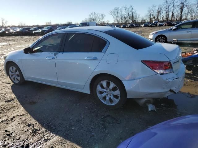 2010 Honda Accord EXL