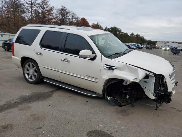 2010 Cadillac Escalade Luxury