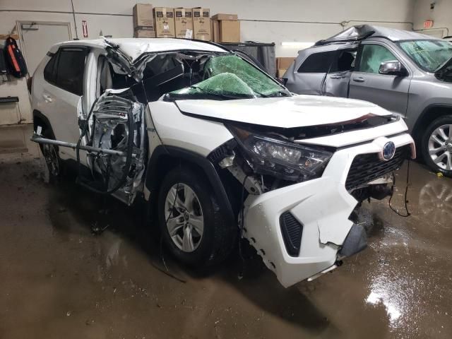 2019 Toyota Rav4 LE