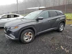 Salvage cars for sale at Finksburg, MD auction: 2023 Hyundai Tucson SEL